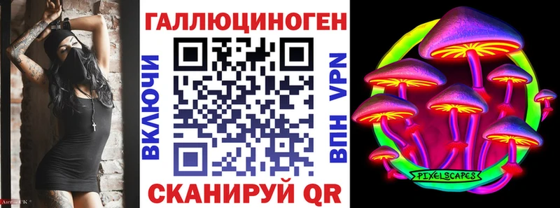 Галлюциногенные грибы Psilocybe ссылка на мегу ONION Шали продажа наркотиков