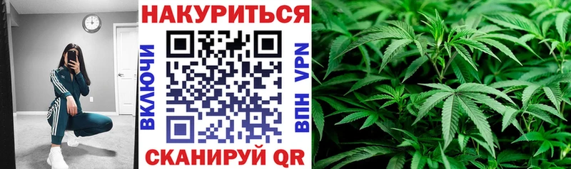 Шишки марихуана семена  Шали 